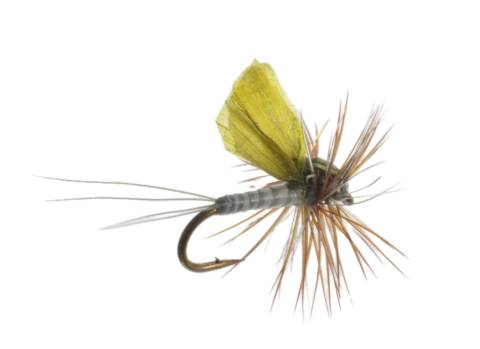 Stalcup's Hackle Dun - Adams